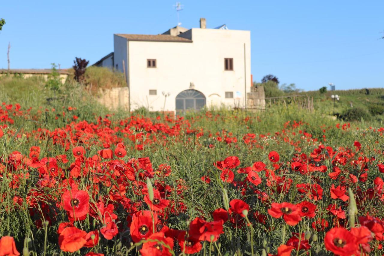 Masseria Agriturismo Moschella Posta Piana Buitenkant foto