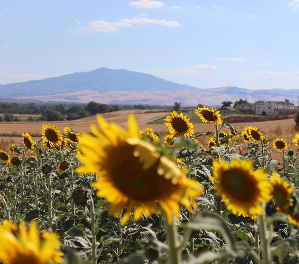 Masseria Agriturismo Moschella Posta Piana Buitenkant foto