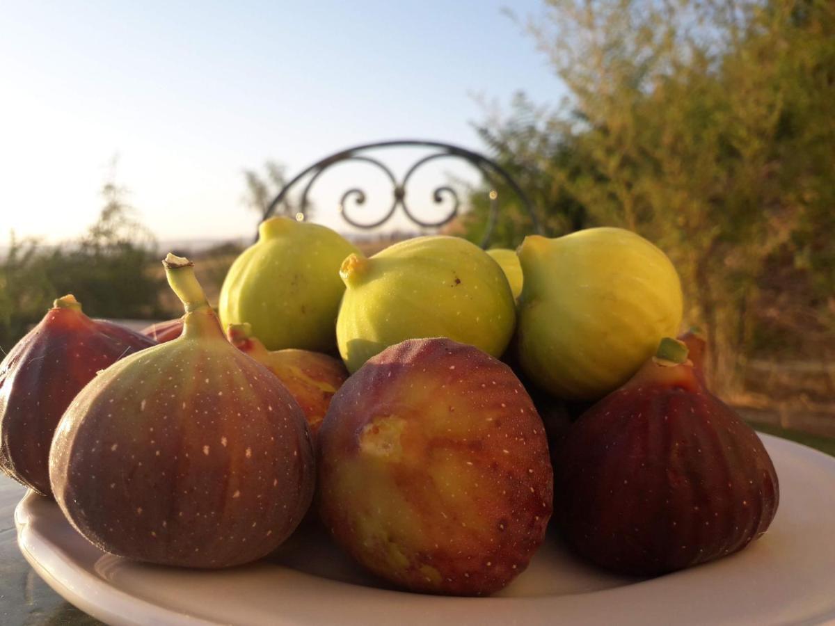 Masseria Agriturismo Moschella Posta Piana Buitenkant foto